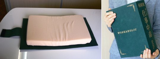 dictionary-desk-pillow-sleep-work-book-3