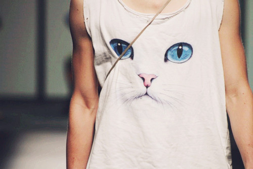 White Cat T-shirt / Camiseta con estampado de un gato blanco
