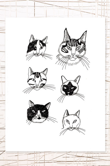 This Is Animalia! (The new trend) for 2014