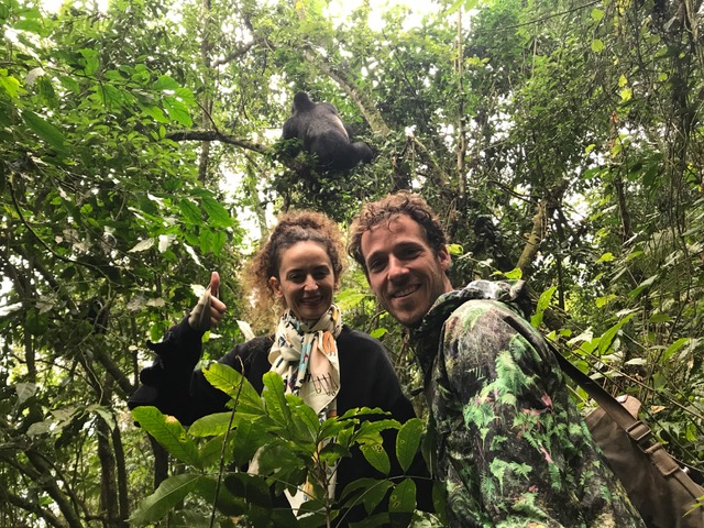 Gorilas Trekking at Bwindi National Park